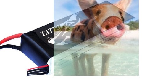 9000mAh 22.2V 25C TATTU Gens Ace 9000mAh 22.2V 25C TATTU Gens Ace