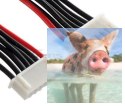9000mAh 22.2V 25C TATTU Gens Ace