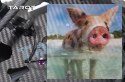 Kontroler elektrycznie składanego podwozia Tarot TL8X002