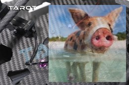 Kontroler elektrycznie składanego podwozia Tarot TL8X002