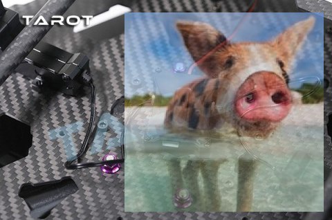 Kontroler elektrycznie składanego podwozia Tarot TL8X002 Kontroler elektrycznie składanego podwozia Tarot TL8X002