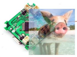 Kontroler lotu Beecore F3 EVO ACRO