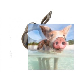 Metalowy zacisk na przewód paliwowy O 4mm