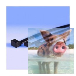 Opaska zaciskowa 2,5 x 100mm