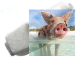 Pokrywa kabiny F959-006