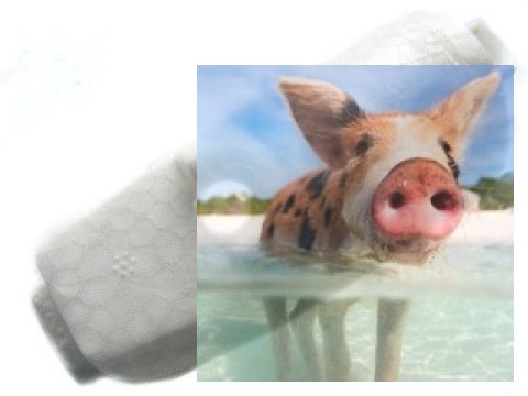 Pokrywa kabiny F959-006