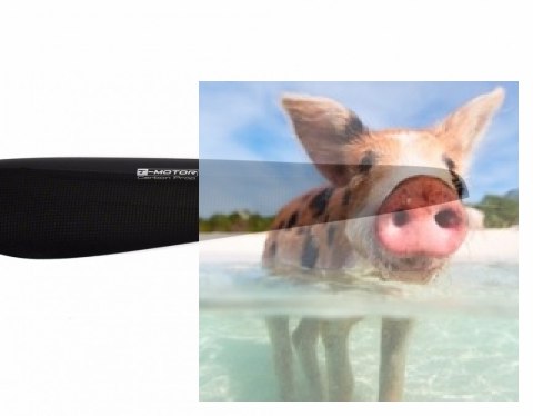 Śmigło 3-łopatowe T-Motor G29x9.5 CF