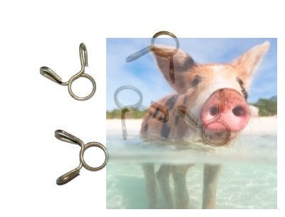 Zacisk na przewód paliwowy O 5,0mm 5szt