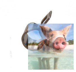 Zacisk na przewód paliwowy O 5mm