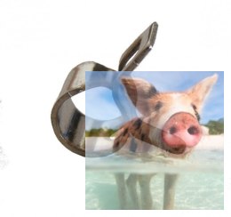 Zacisk na przewód paliwowy O 6mm