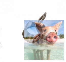 Zacisk na przewód paliwowy fi 4mm