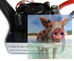 Dwukierunkowy regulator obrotów 80A 7,2-14,8V