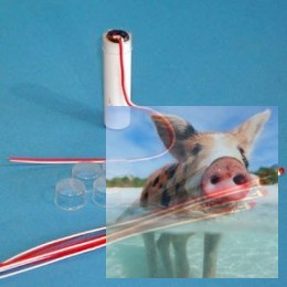 Elektryczny zapalnik dla świec AX-18 - 5szt