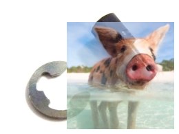 Engine Pilot Shaft W/one Clip 1set - 86036