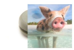 Gumka mocowania kabiny w helikopterach klasy 450