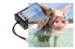 Imax A3 2A 20W NiMH 5S-8S