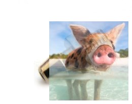 Końcówka ciśnieniowa na tłumik M3 - 1szt.