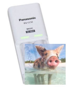 Ładowarka Eneloop BQ-CC50 (AA/AAA)