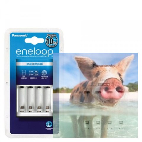 Ładowarka Eneloop BQ-CC51E (AA/AAA)