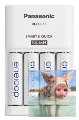 Ładowarka Eneloop BQ-CC55E Szybka + 4xAA Eneloop 1900mAh (AA/AAA)