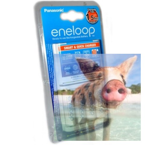 Ładowarka Eneloop BQ-CC55E Szybka + 4xAA Eneloop 1900mAh (AA/AAA) Ładowarka Eneloop BQ-CC55E Szybka + 4xAA Eneloop 1900mAh (AA/AAA)