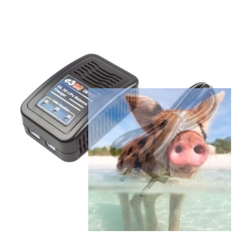 Ładowarka SkyRC e3 AC LiPo/LiFe 2-3S Ładowarka SkyRC e3 AC LiPo/LiFe 2-3S
