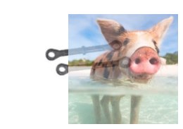 Linki / łączenia przednie