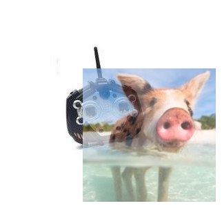 Nadajnik 2.4GHz do Trumpeter German Tiger I POSERWISOWY (sprawny)