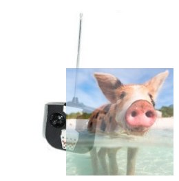 Nadajnik do Mad Monster Truck 27MHz - POSERWISOWY