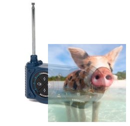 Nadajnik do czołgu Tiger 40MHz - POSERWISOWY