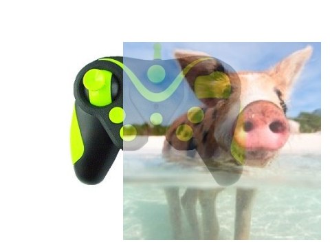 Nadajnik do modelu UF/0133 - POSERWISOWY