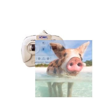 Nadajnik do wywrotki kopalnianej 27MHz - POSERWISOWY