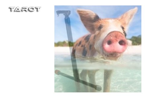 Podwozie elektrycznie składane TL8X001 do ram Tarot z serii X6 oraz X8 (1szt.)