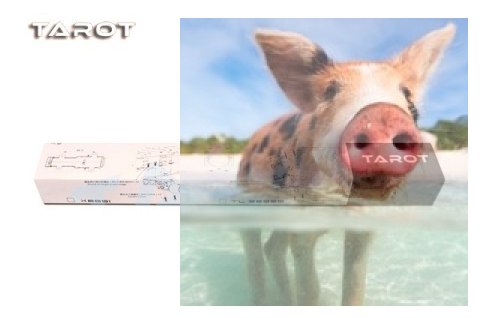 Podwozie elektrycznie składane TL96030 do ram Tarot z serii T810 T960 T15 T18 810sport 960sport (1szt.) Podwozie elektrycznie składane TL96030 do ram Tarot z serii T810 T960 T15 T18 810sport 960sport (1szt.)