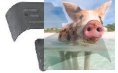 Przednia i tylna pokrywa