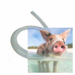 Przewód paliwowy do benzyny 3*5mm - 1 metr