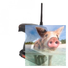Radio pistoletowe FLY SKY FS-GT2 2.4GHz 2CH