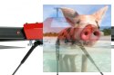 Rama quadcopter Tarot KIT TL750S1 750mm