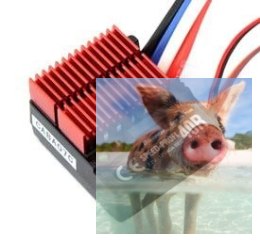 Regulator Graupner SPEED PROFI 40R BEC