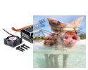 Regulator Obrotów Toro TS120A V2 ESC (czarny)