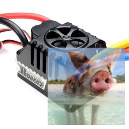 Regulator obrotów Rocket A1 ESC 80A 2-6S BEC 6.1V/3A