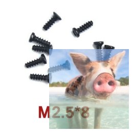 Śrubki 2.5 x 8 10szt - A949-40