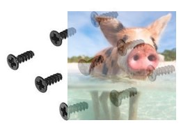 Śrubki 2.6 x 6 10szt - A949-38