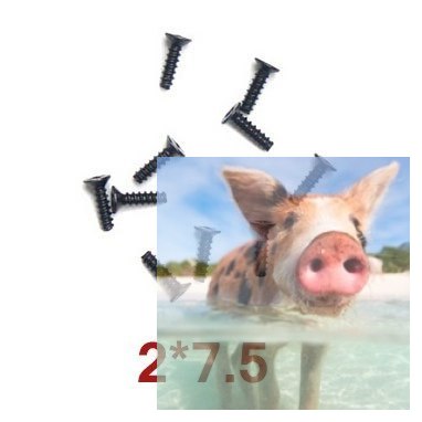 Śrubki 2 x 7.5 10szt - A949-48