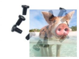 Śrubki 3 x 5 10szt - A949-44