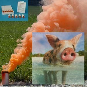 Świeca dymna mała AX-9 pomarańczowa - 10szt