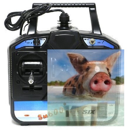 Symulator FlySky FS-SM600 6CH - POSERWISOWY Symulator FlySky FS-SM600 6CH - POSERWISOWY
