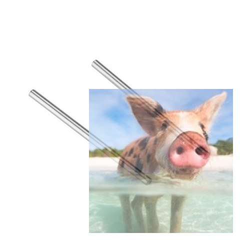 Trzpień montażu wahacza 2x37 - A949-52