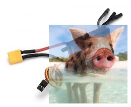 Wodoodporny regulator obrotów Joysway 30A 2-3S BEC 2A/5V