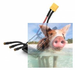 Wodoodporny regulator obrotów Joysway 30A 2-3S BEC 2A/5V